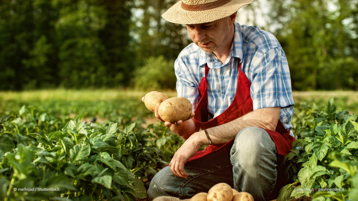 La terra ha cura dell'uomo